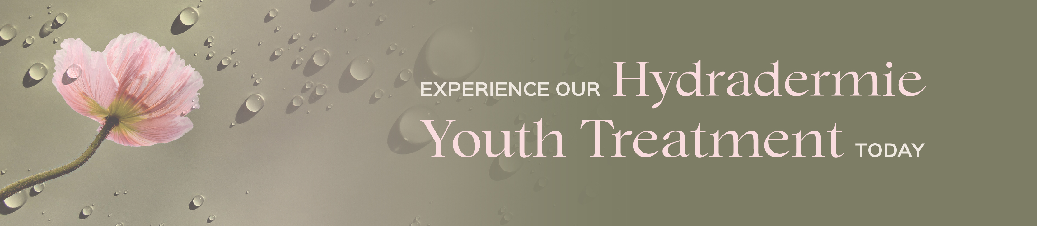 1743507873.511Hydradermie Youth-Admafillies-Banner 1600x350.jpg